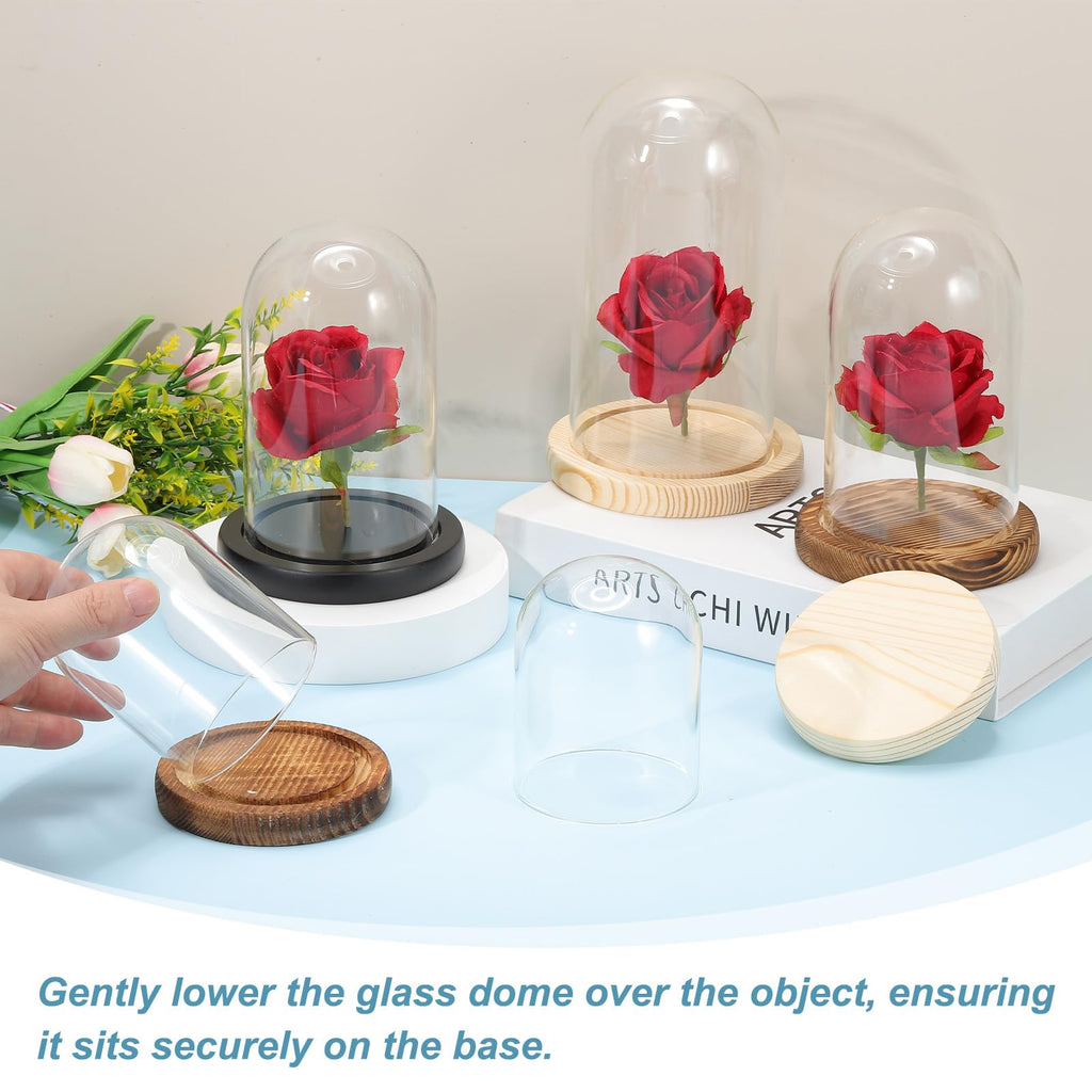 sourcing map Glass Cloche Display Dome, 6.2" x 3.9" Glass Dome Display Case Wood Base Tabletop Jar Case Decorative Bell Jar for Plant Home Decor - image 5