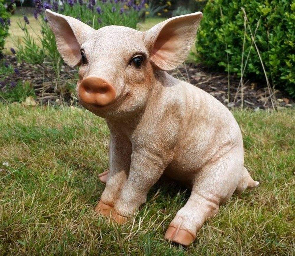 Vivid Arts Real Life Piglet Garden Ornament – Realistic Resin Statue
