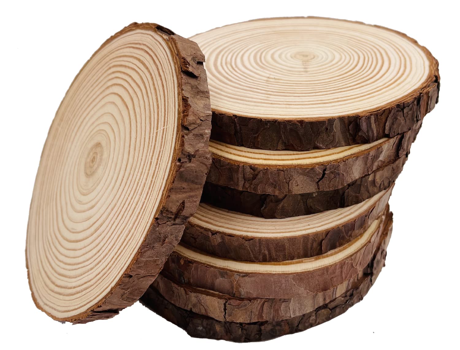 Natural Pine Wood Slices – 8 Pcs 14-15cm Round Tree Bark Discs
