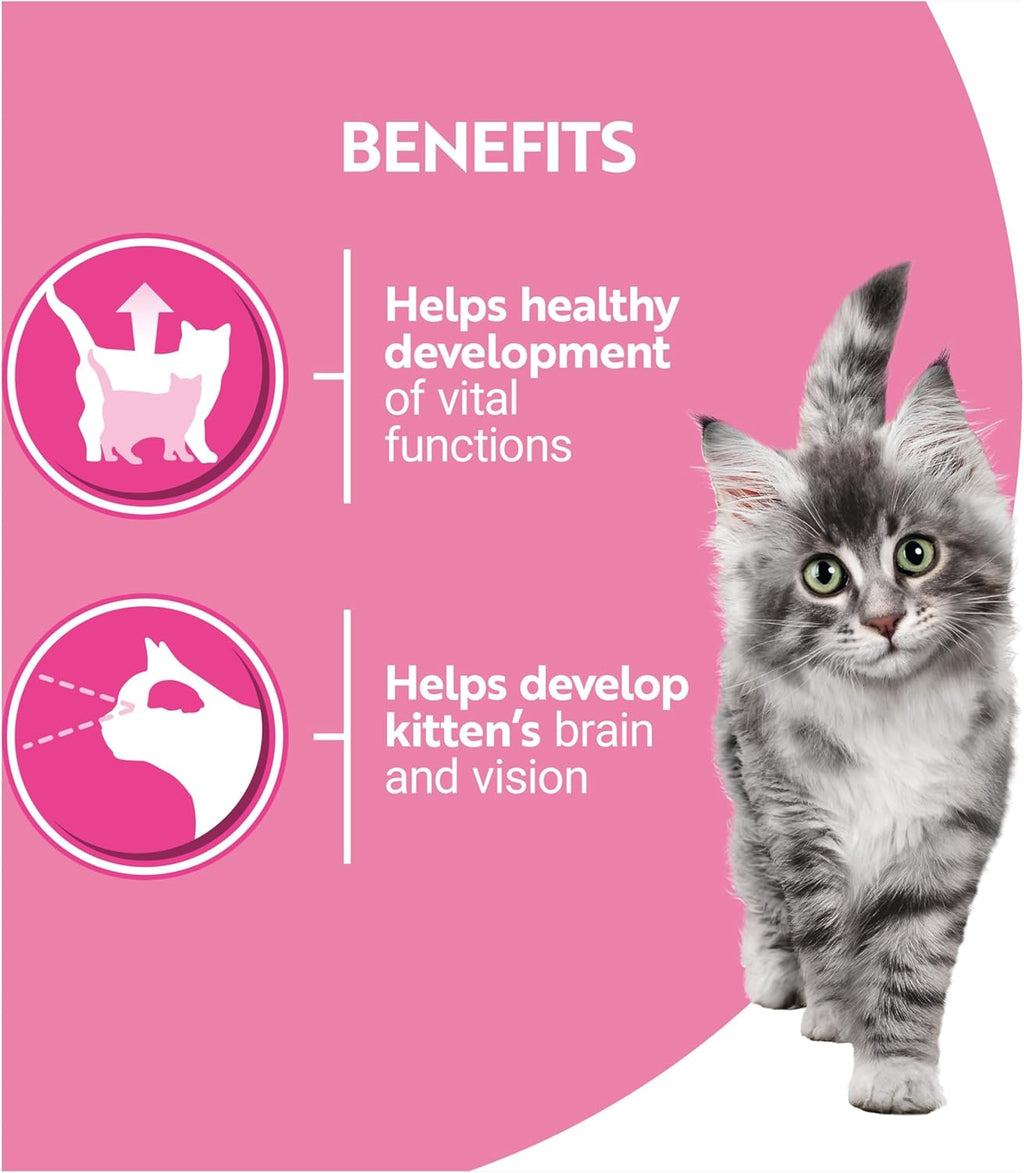 Jolof Store Kitten Wet Cat Food – Salmon & Chicken Fillets (40x85g)