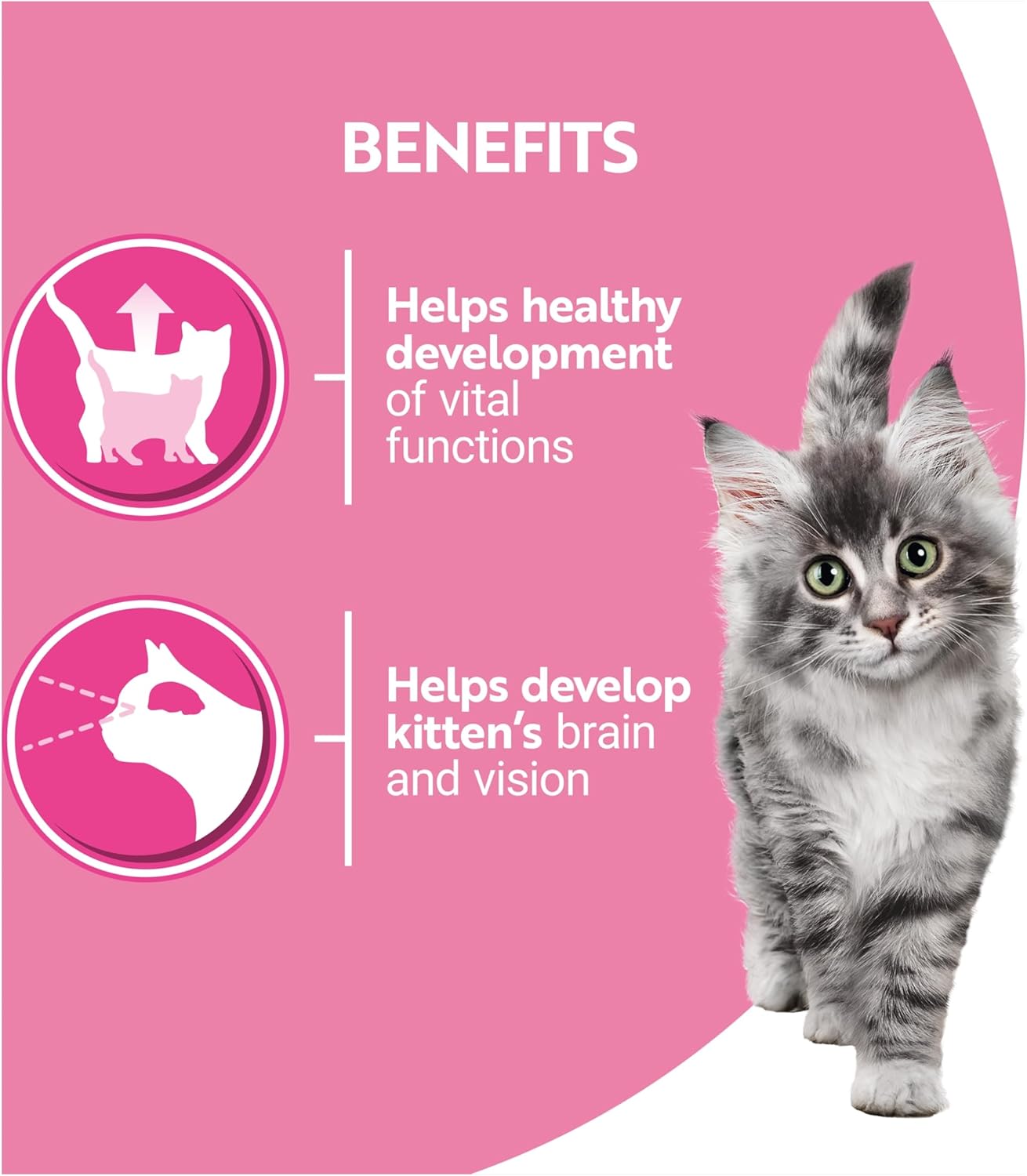 Jolof Store Kitten Wet Cat Food – Salmon & Chicken Fillets (40x85g)