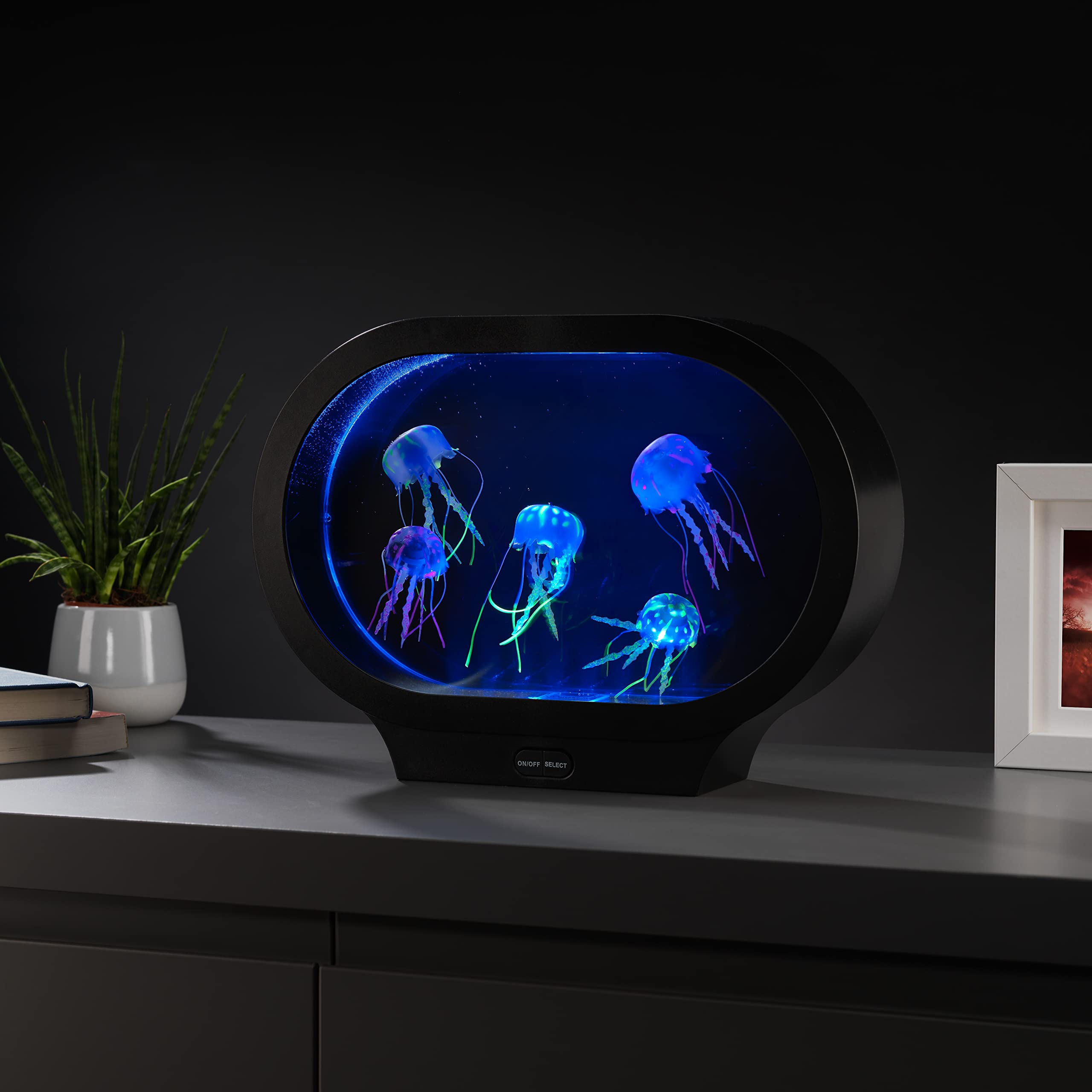 RED5 Oval Jellyfish Tank Lamp – RGB LED Colour Changing Mood Light