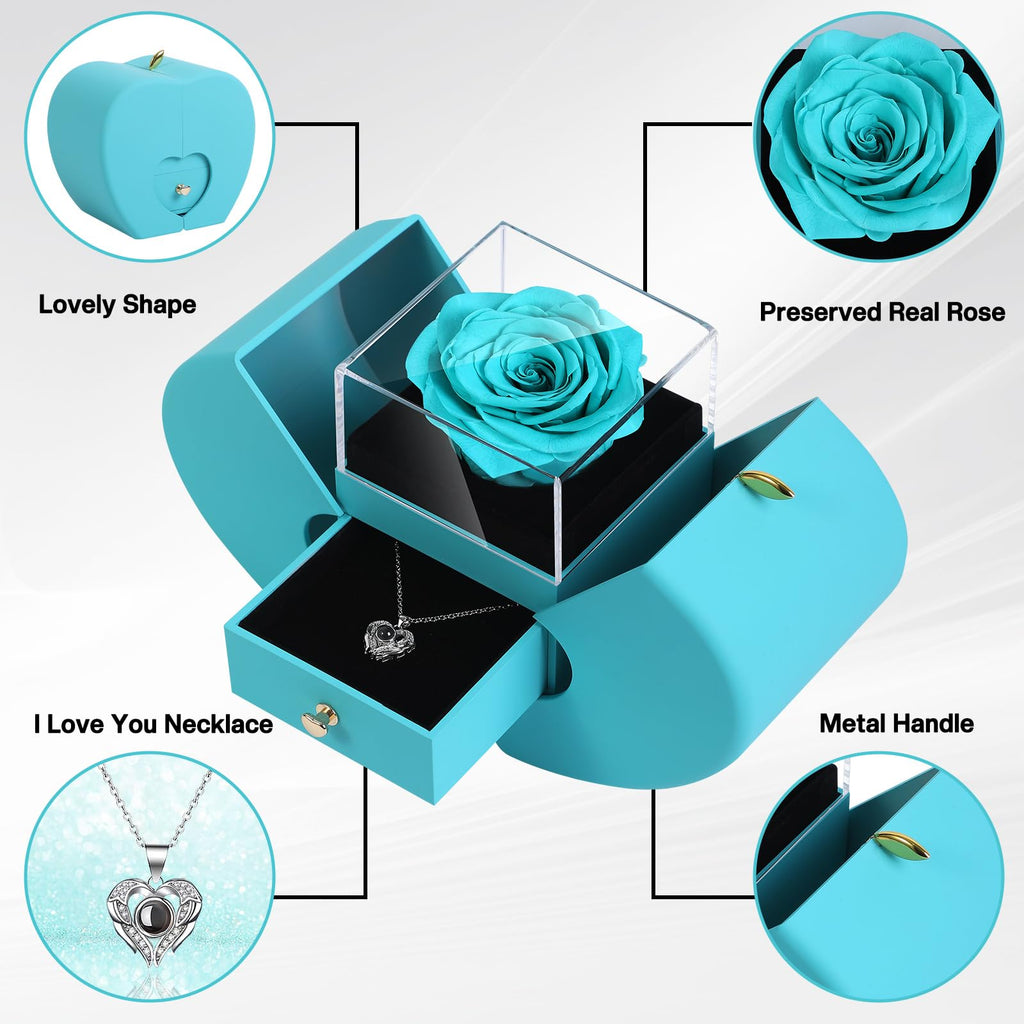 Jolof Store Preserved Real Rose Gift Box with 100 Languages Necklace