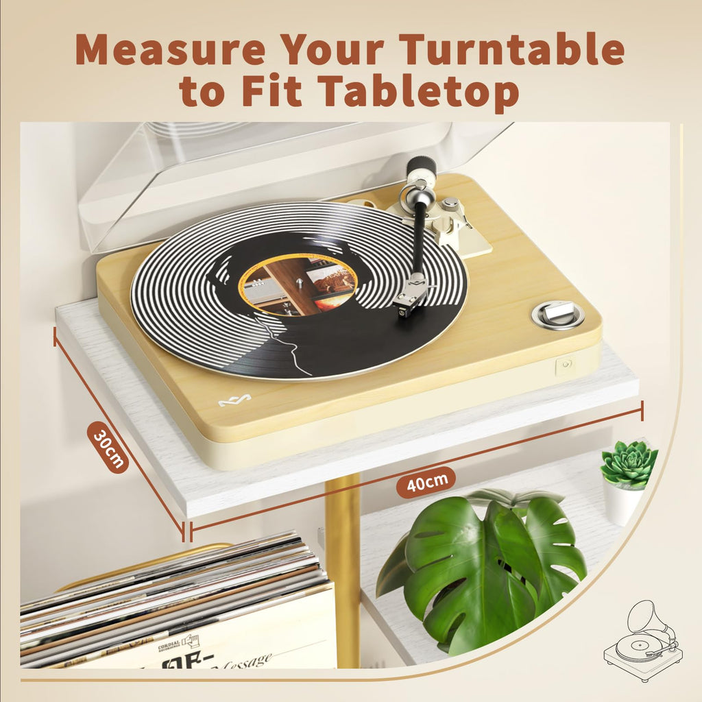 Bikoney Botanical Record Player Stand with LP Vinyl Display Shelf - Gold - image 4