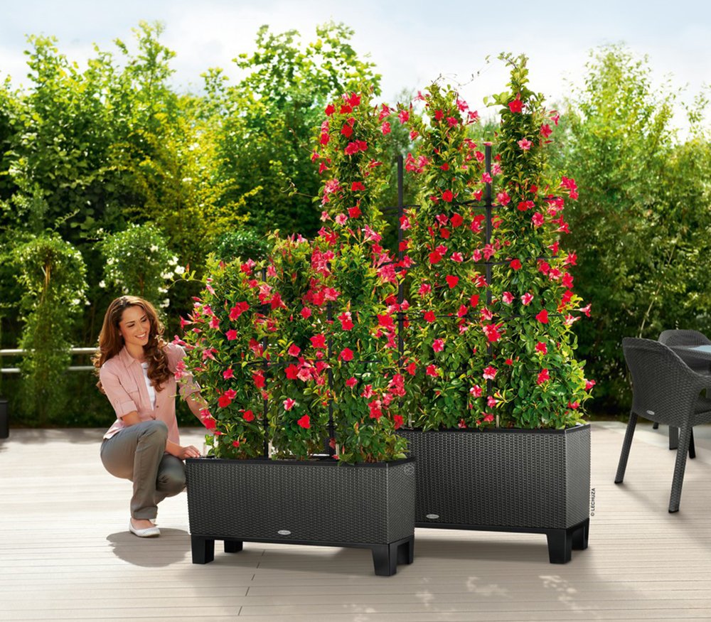Lechuza Trio Cottage 40 Self-Watering Planter with Trellis - Black