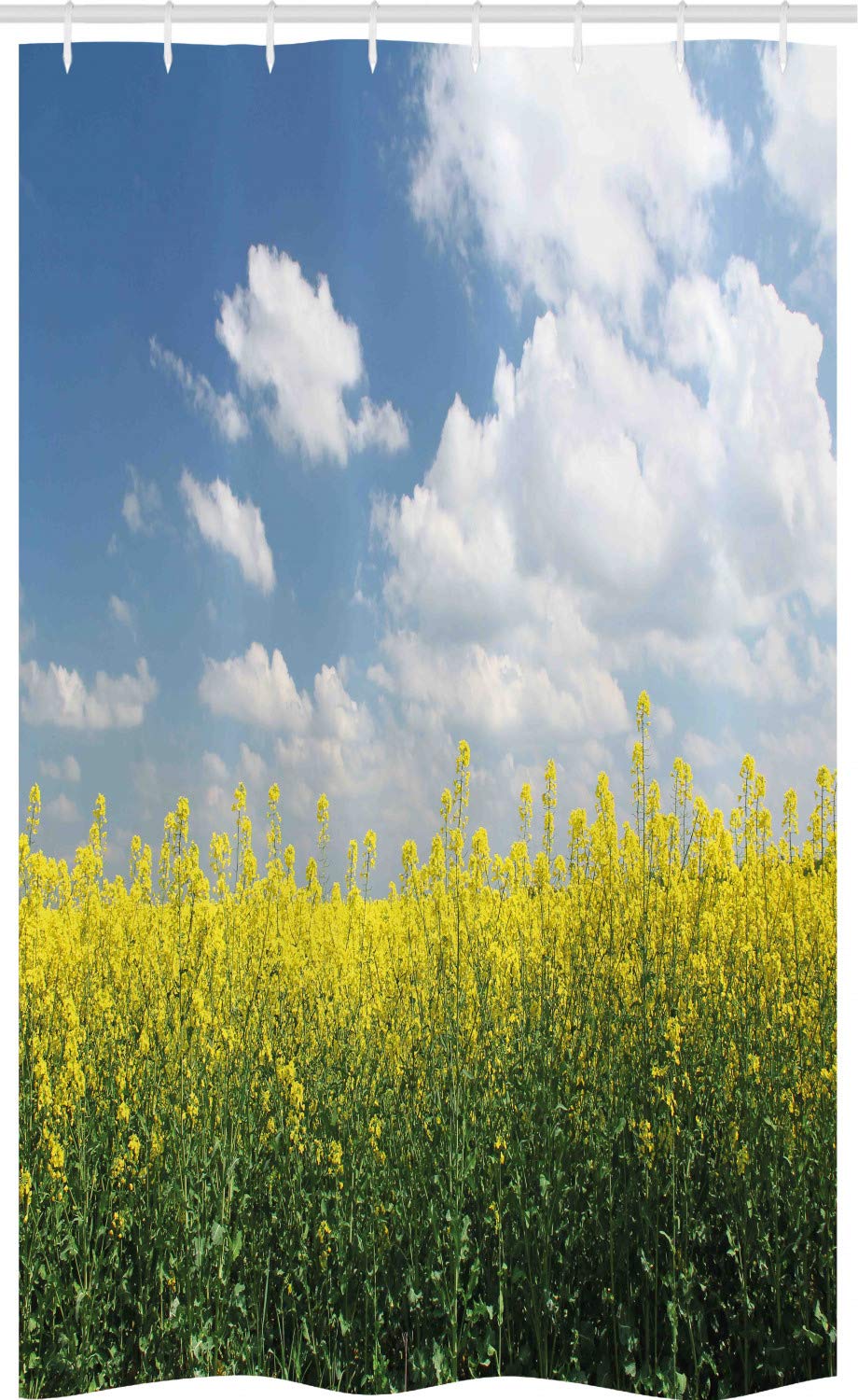 Abakuhaus Rapeseed Field Shower Curtain | Waterproof Fabric, 47" x 70"
