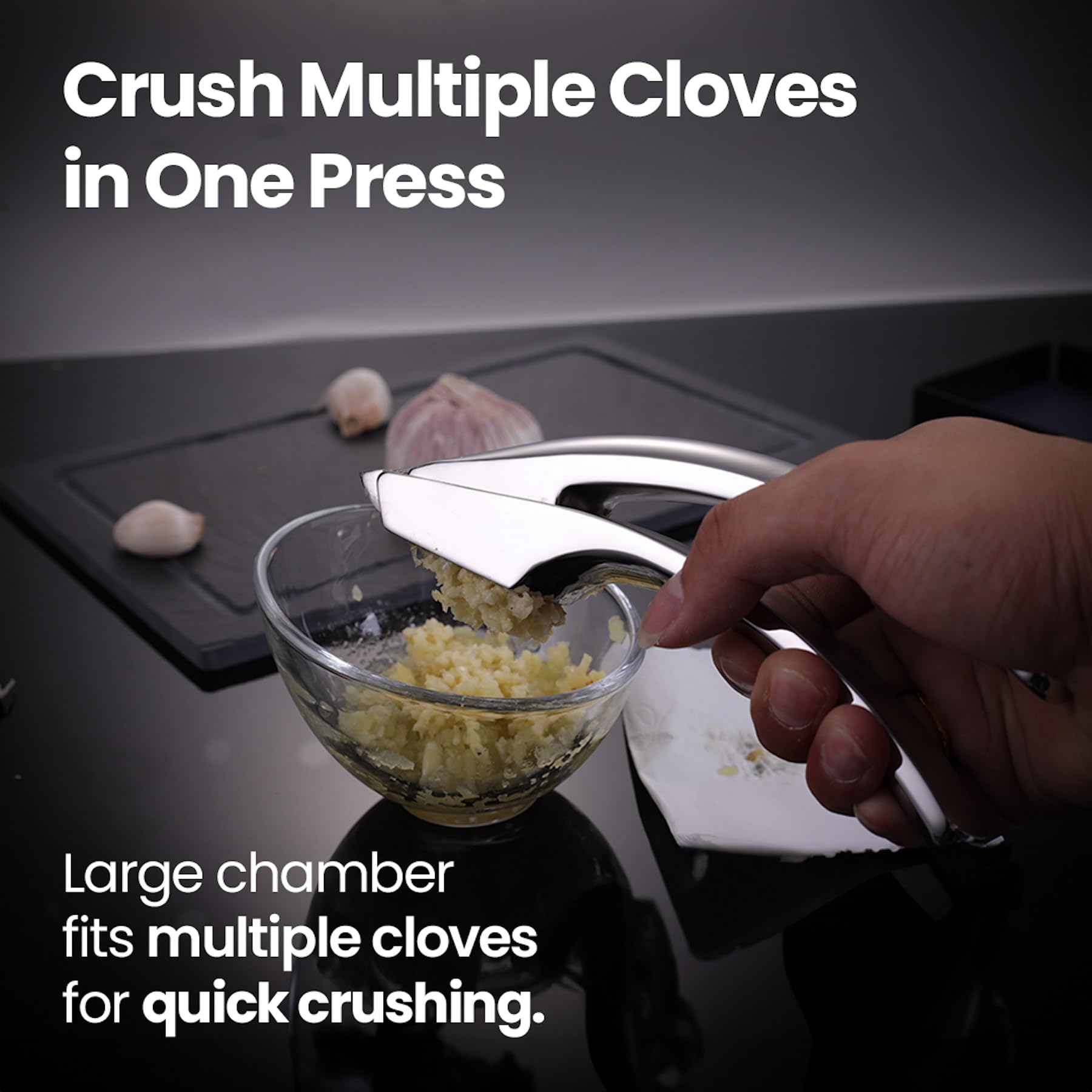 Stainless Steel Garlic Press with Coarse & Fine Handles