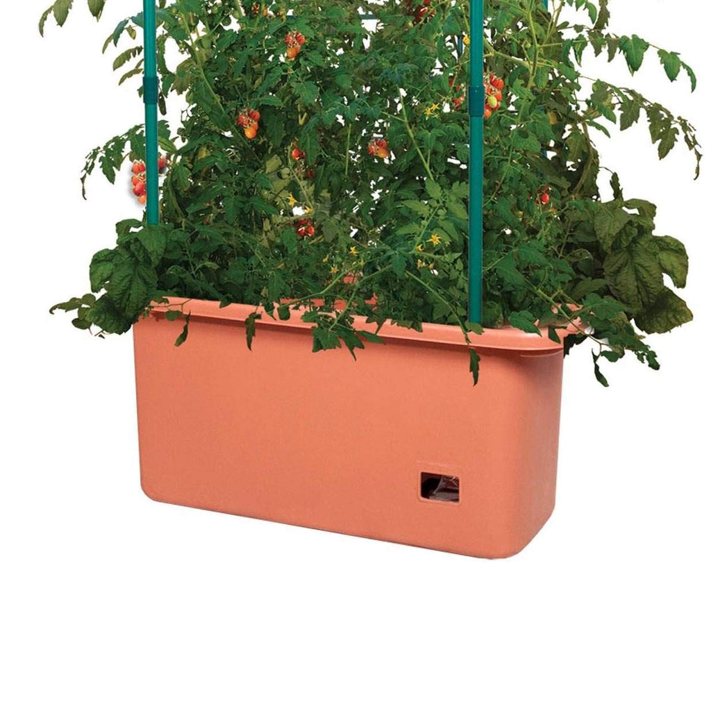 Hydrofarm Self-Watering Tomato Planter – Vertical Tree Tower, Green