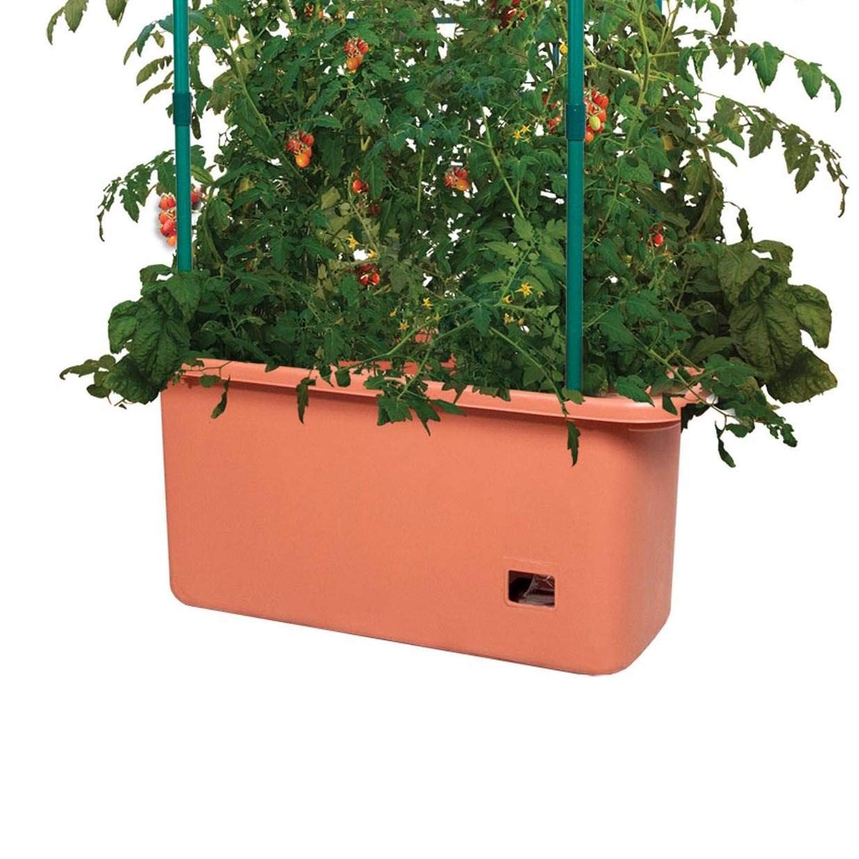 Hydrofarm Self-Watering Tomato Planter – Vertical Tree Tower, Green