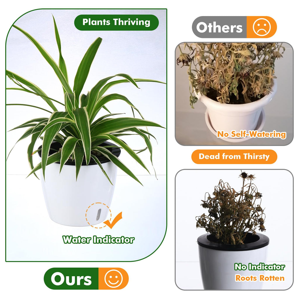 Jolof Store 6.7 Inch Self Watering Plant Pots - 6 Pack White Wick Planters