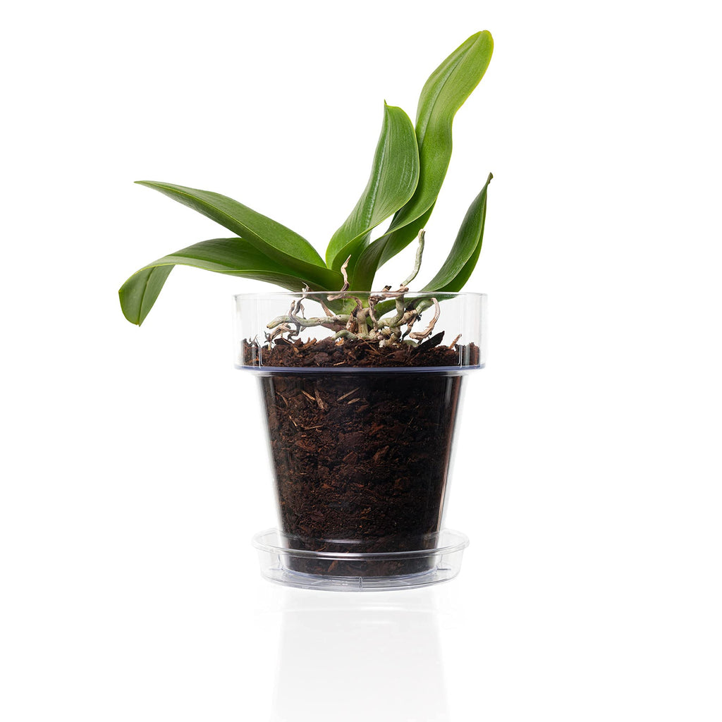 Kalapanta Transparent Orchid Pot with Drainage Holes and Saucer - 16cm
