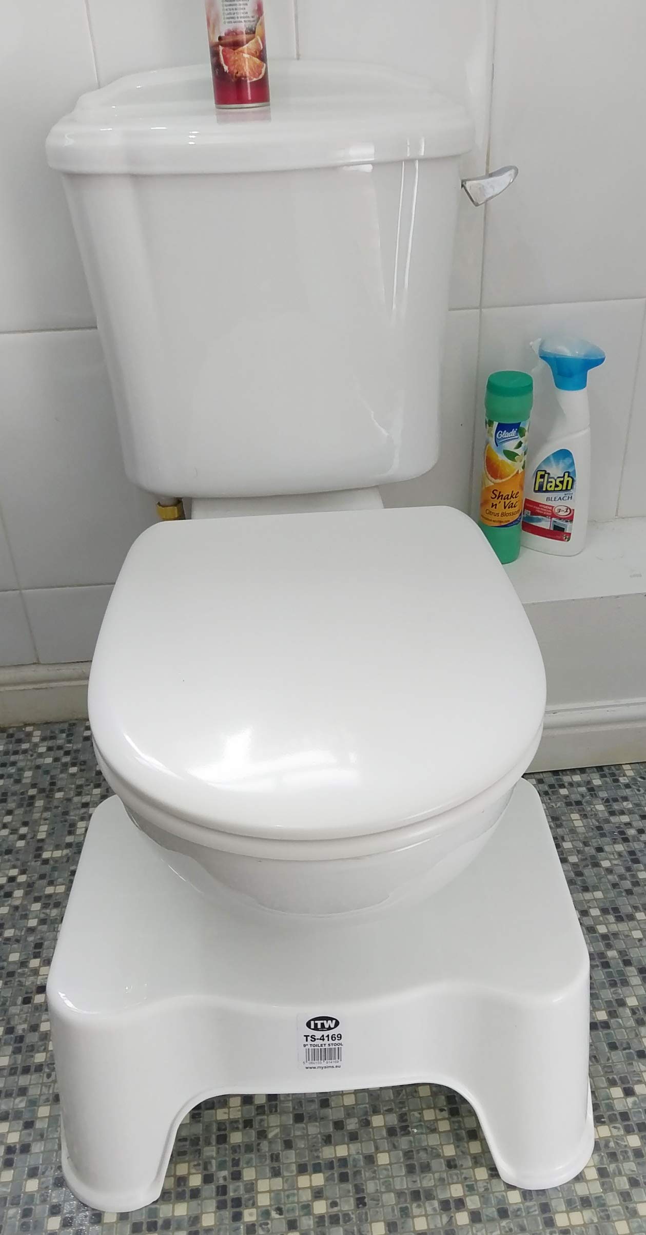 Qomfy 9" Squatting Toilet Stool – White Non-Slip Bathroom Step Stool