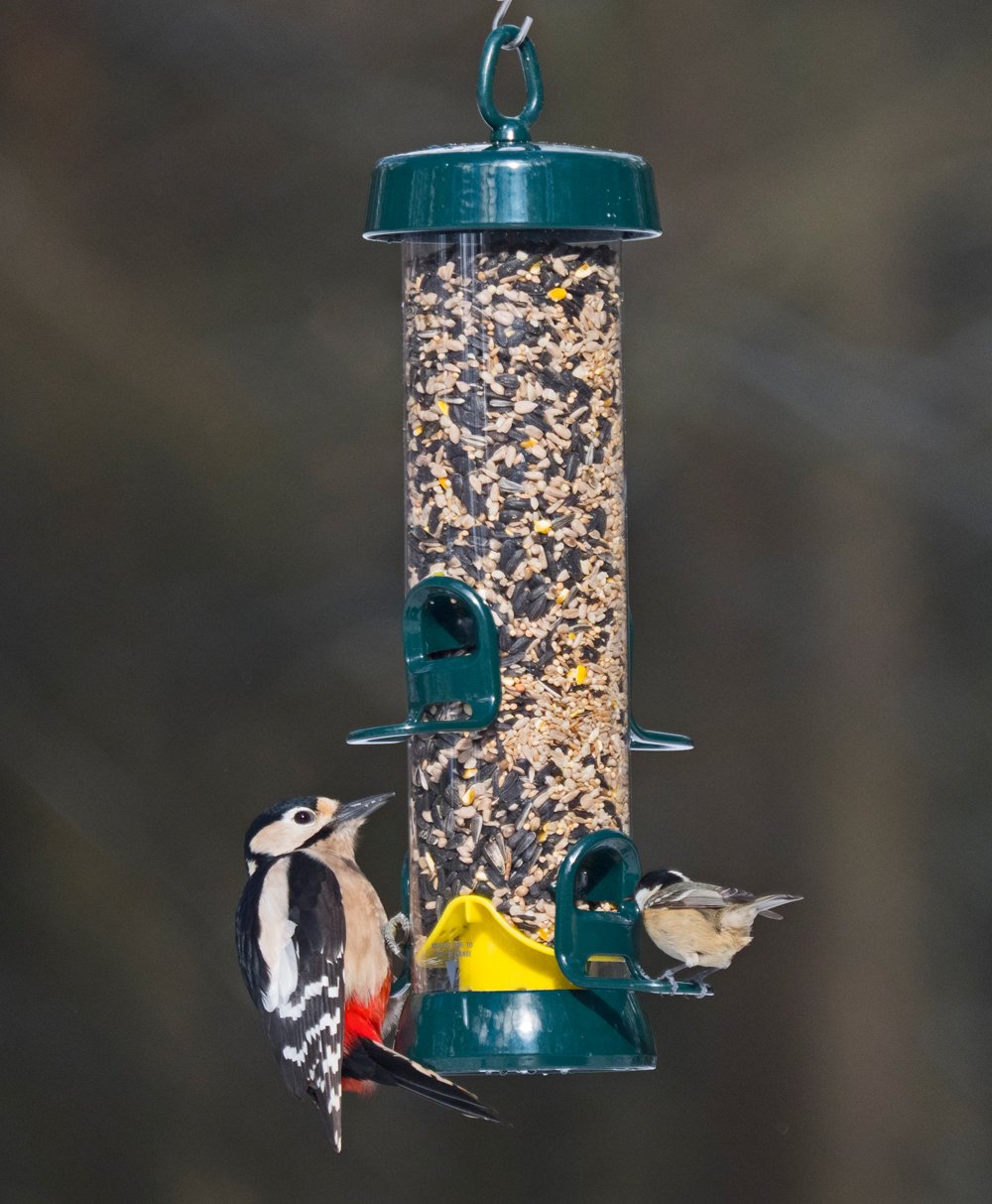 Jacobi Jayne BigEasy Seed Bird Feeder – Squirrel-Resistant, 1.6L