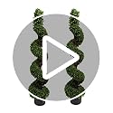Jolof Store Artificial Boxwood Spiral Trees | UV Stable 4ft Topiary (Set of 2)
