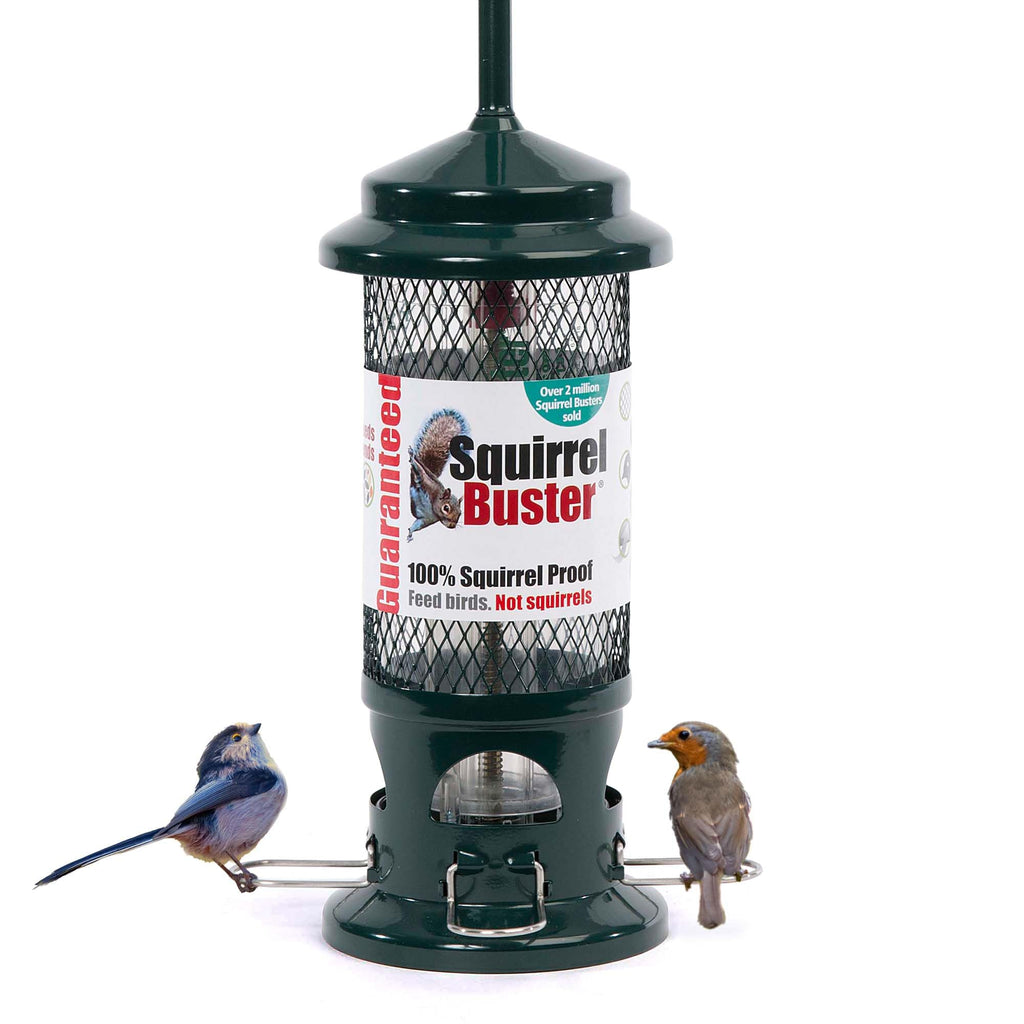 Jacobi Jayne Squirrel Buster Seed Bird Feeder – Metal Pigeon Proof Design