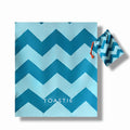 TÖASTIE Quick Dry Microfiber Beach Towel – Sand Resistant Mint Chevron