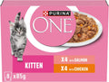Jolof Store Kitten Wet Cat Food – Salmon & Chicken Fillets (40x85g)