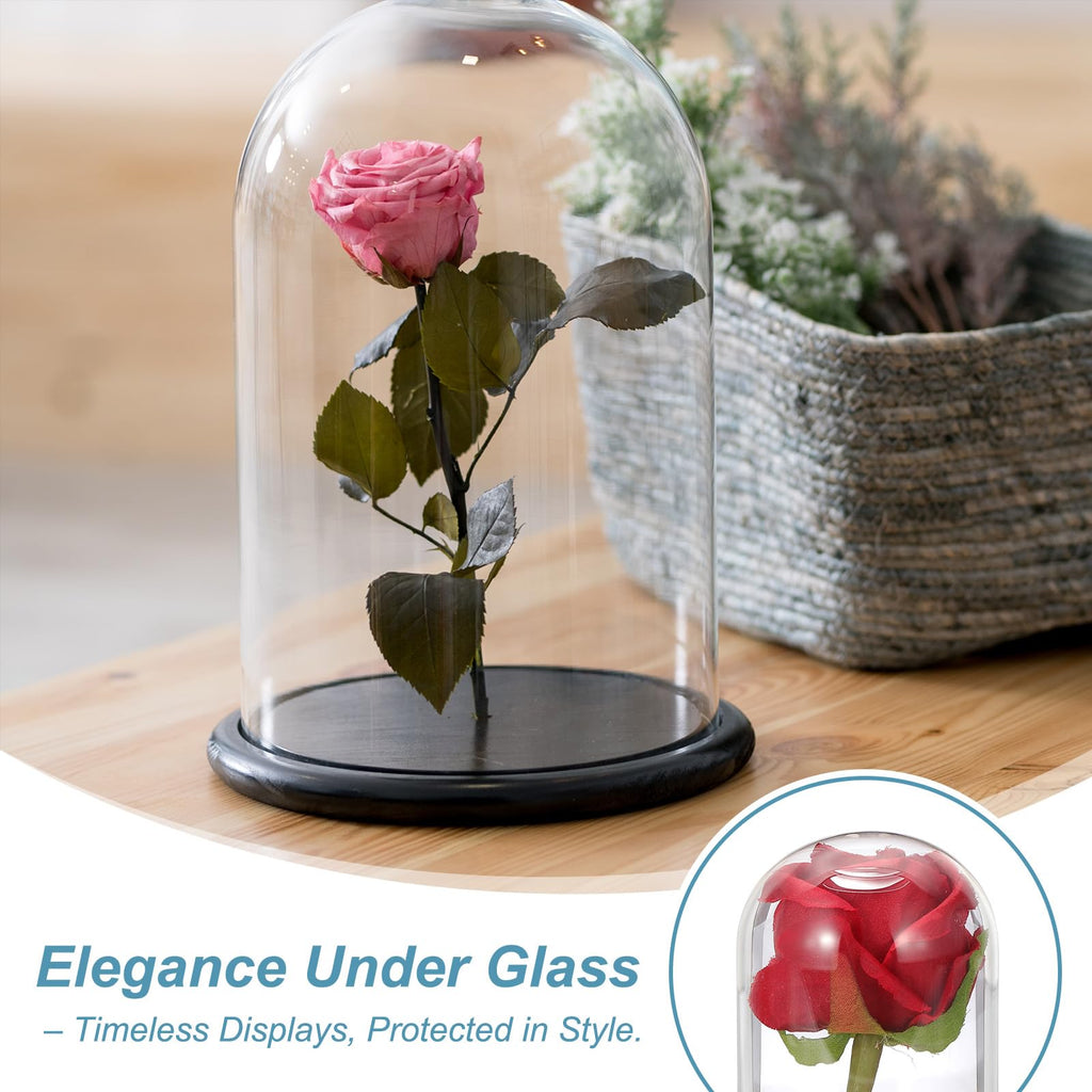 sourcing map Glass Cloche Display Dome, 6.2" x 3.9" Glass Dome Display Case Wood Base Tabletop Jar Case Decorative Bell Jar for Plant Home Decor - image 4
