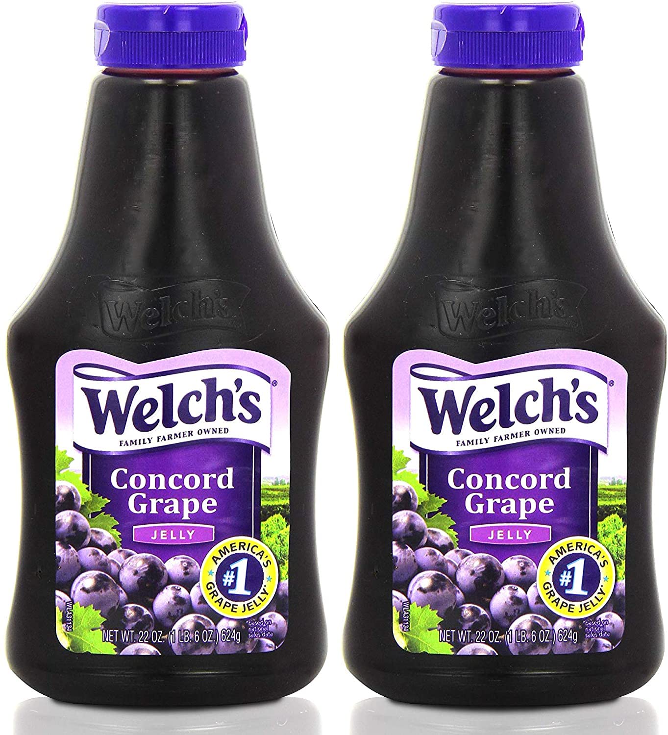 Welch's Grape Jelly Squeezable Fruit Spread, 567g (2 Pack Bundle)