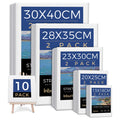 Jolof Store Stretched Canvas for Painting - 10 Pack Multi-Size Cotton