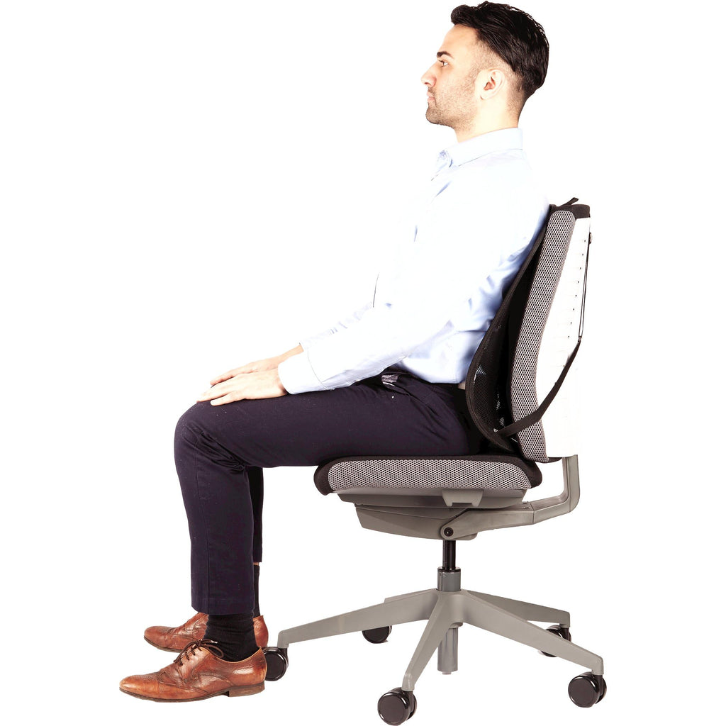 Fellowes Suites Mesh Back Support – Ergonomic Office Chair Lumbar, Graphite