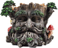 Jolof Store Tree Ent Face Garden Planter | Greenman Polyresin Pot 15cm