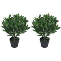 Leaf Design UK Pair of Artificial Bay Topiary Ball Trees - Green, 50cm
