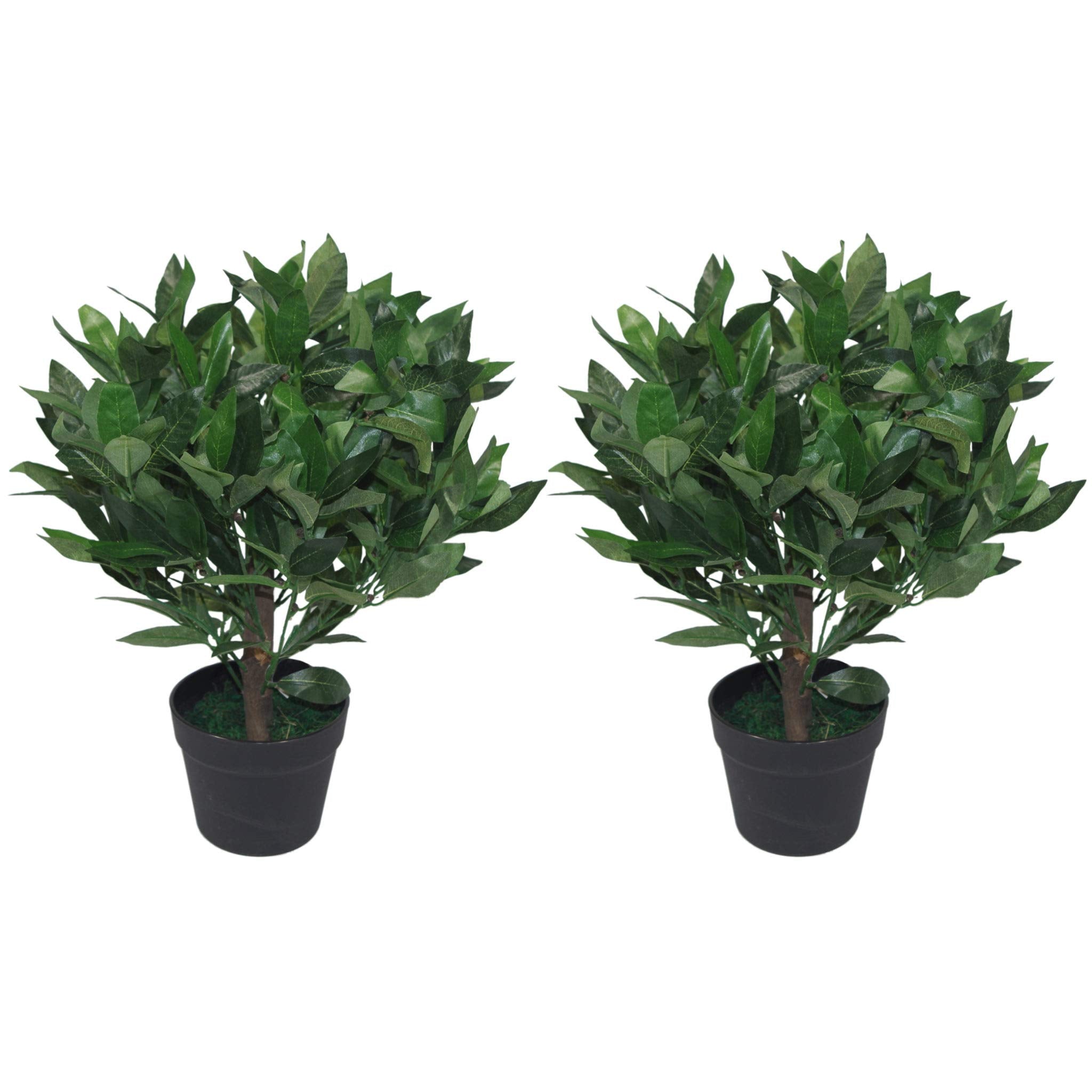 Leaf Design UK Pair of Artificial Bay Topiary Ball Trees - Green, 50cm