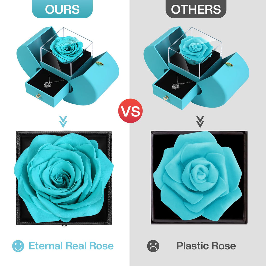 Jolof Store Preserved Real Rose Gift Box with 100 Languages Necklace