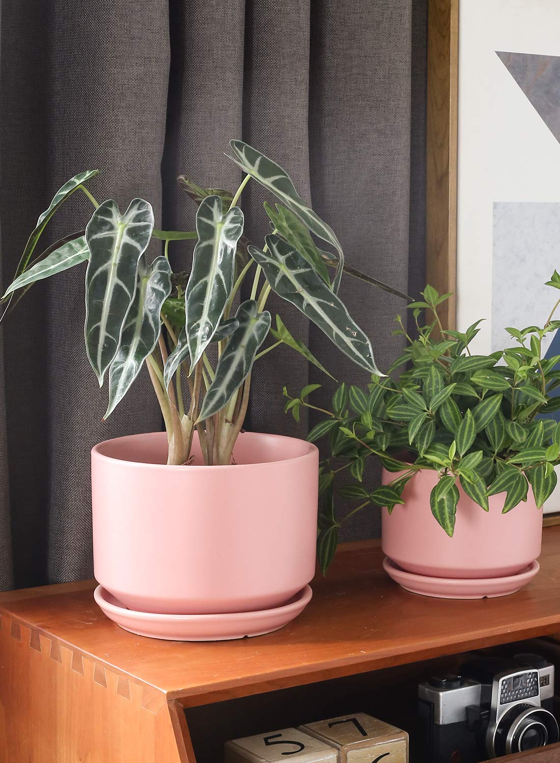 LE TAUCI Ceramic Plant Pots | Set of 3 Indoor Planters with Drainage - Pink