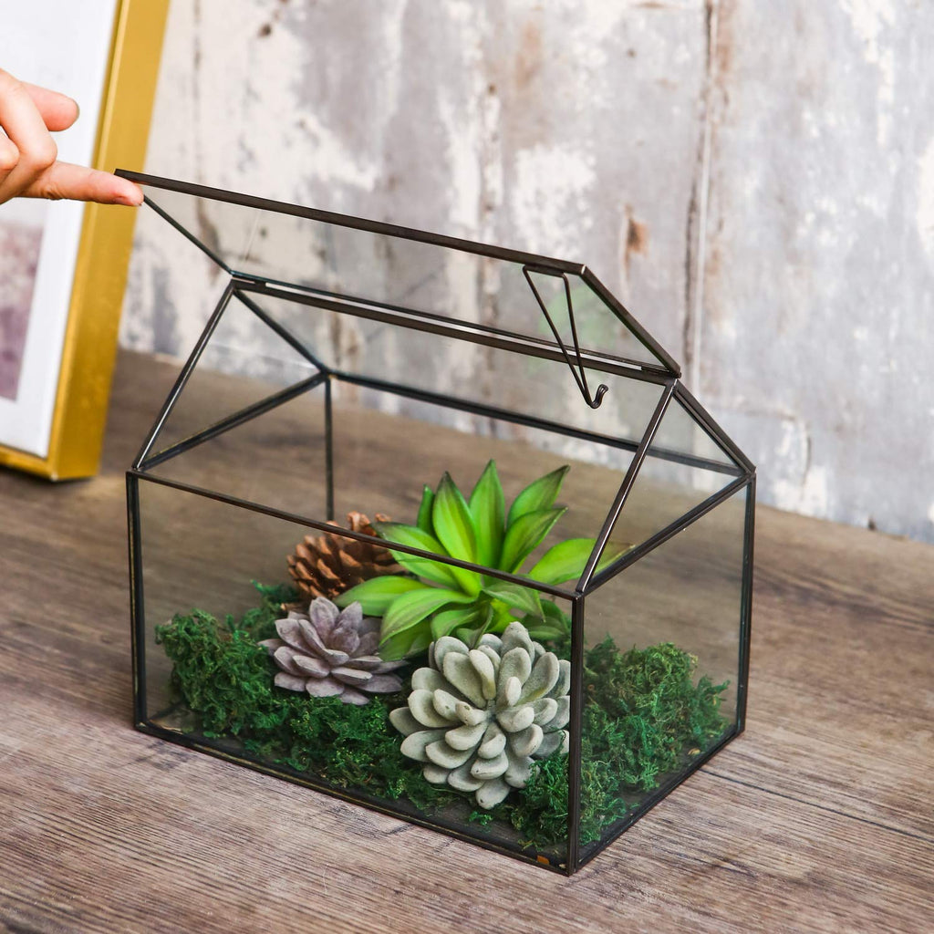 WONSUN House Shape Glass Geometric Terrarium – Black Tabletop Planter