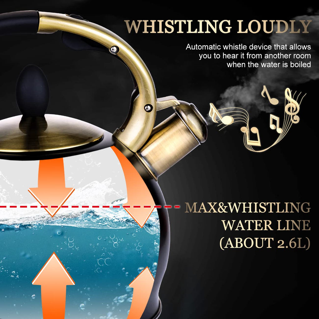 SUSTEAS Whistling Tea Kettle – 3L Stainless Steel Stovetop Teapot, Black