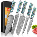 5-Piece Damascus Knife Set | VG-10 Steel & Abalone Handle