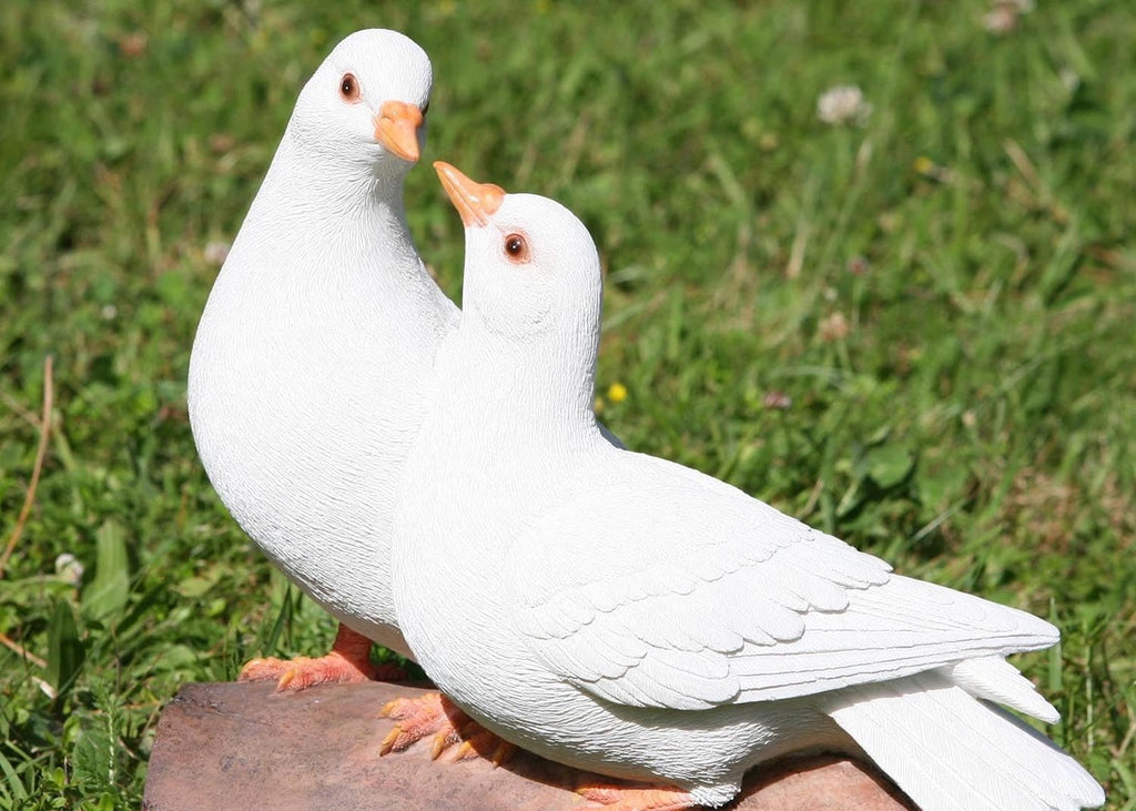 Vivid Arts Love Doves – White Resin Garden Ornament Bird Statue