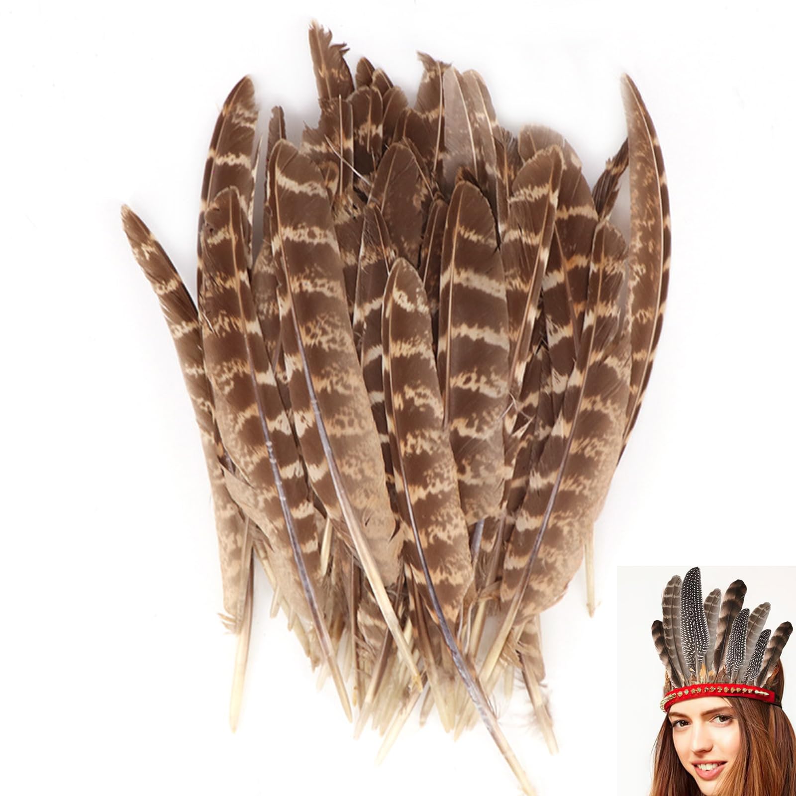 Jolof Store Natural Pheasant Feathers - 30 Pcs for Crafts, Masks & Weddings