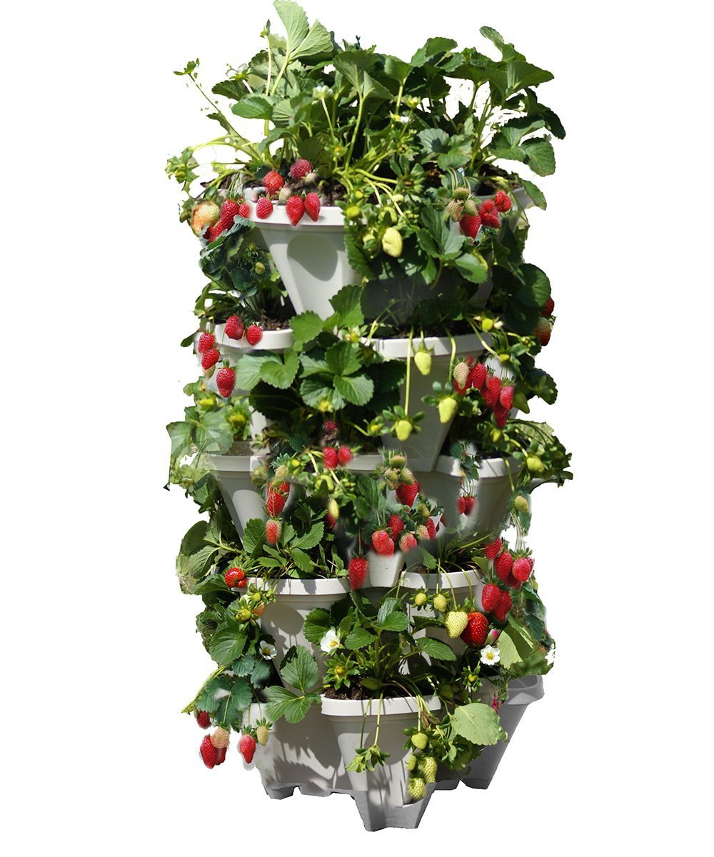 Mr. Stacky 5-Tier Vertical Planter – Stackable Indoor & Outdoor Garden