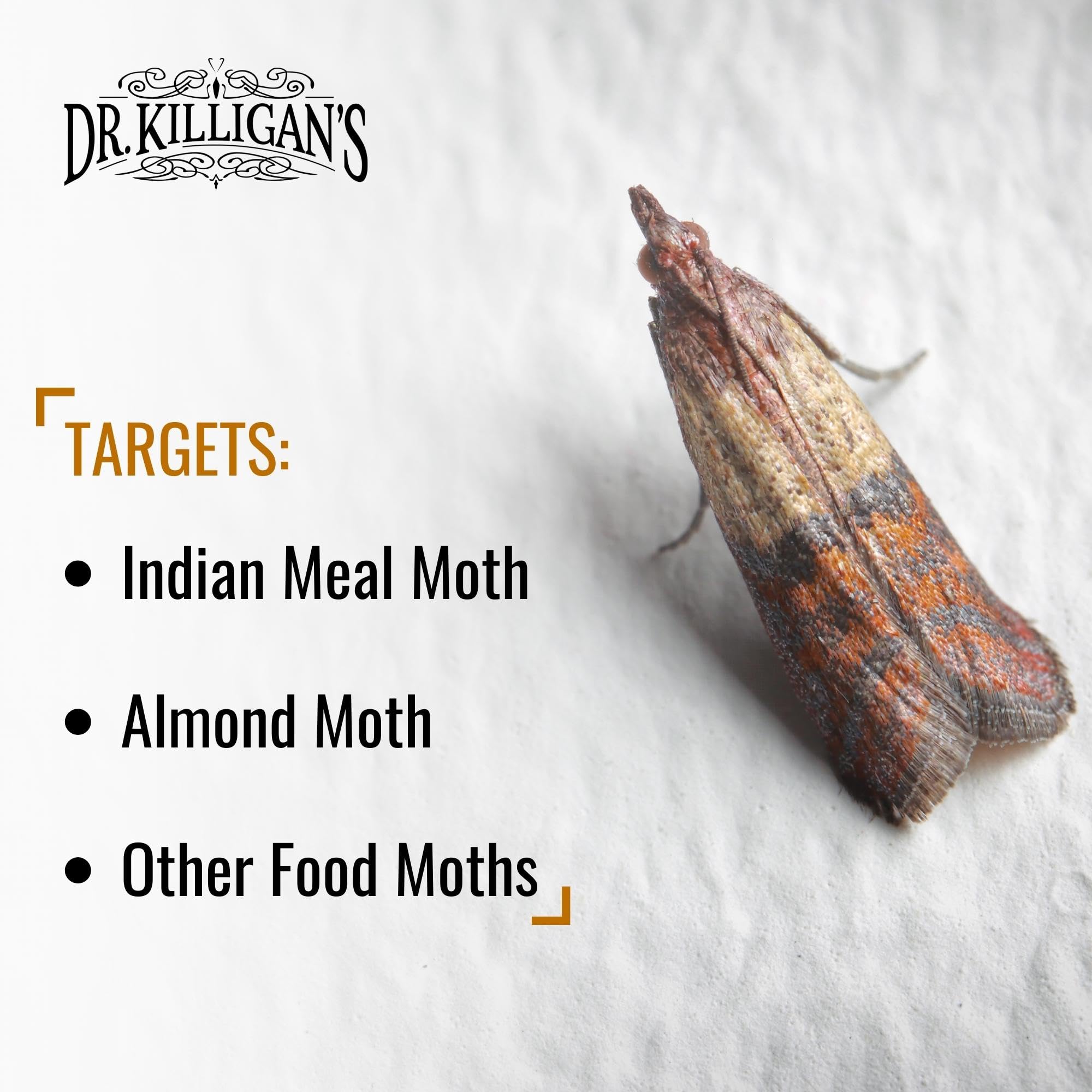 Dr. Killigan's Pantry Moth Traps | Non-Toxic Pheromone Glue Traps - 20 Pack