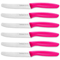 Ruffulon Serrated Tomato Knife Set of 6 – Stainless Steel Utility Knives