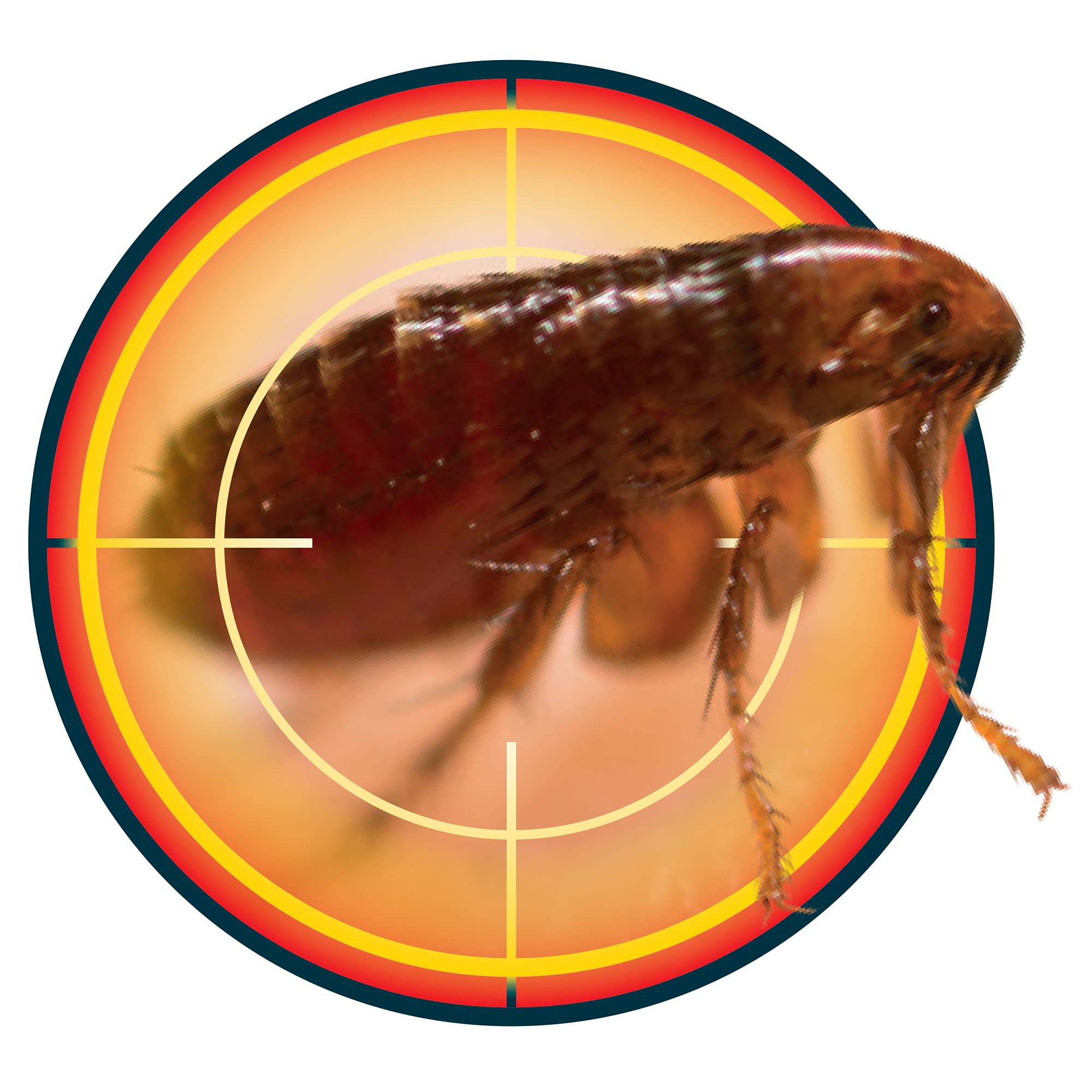 NOPE! CP Flea Spray 5L with Sprayer – Fast-Acting Home Flea Killer