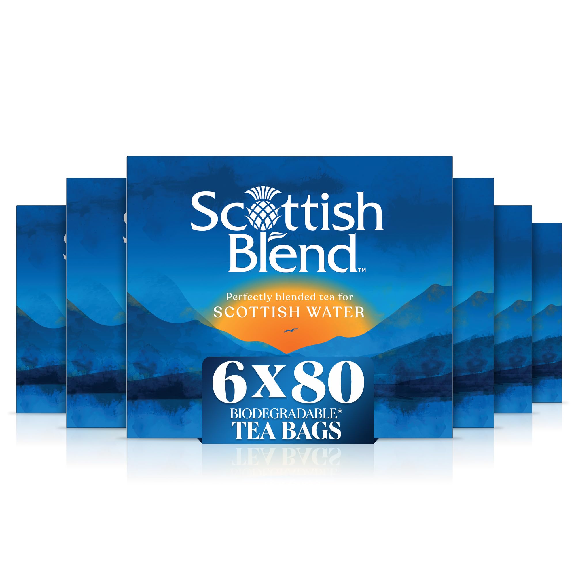 Scottish Blend Black Tea Bags for Soft Water – 480 Plant-Based Teabags