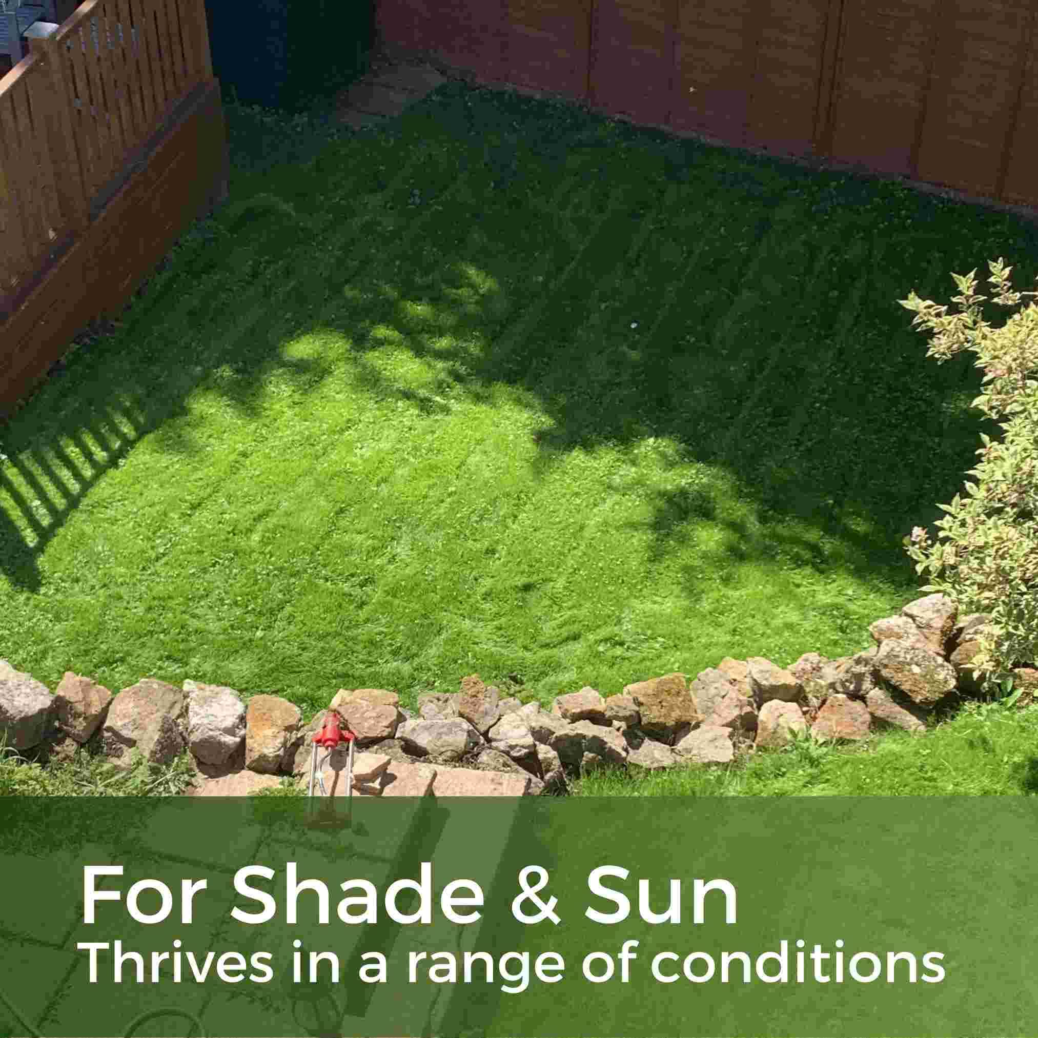 Shade & Sun Grass Seed – Shady Mix Lawn Seed - 5kg
