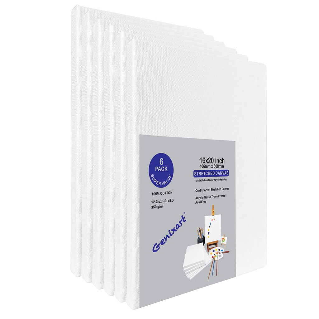 Genixart 16x20 Stretched Canvas 5-Pack | 100% Cotton Primed Artist Canvas