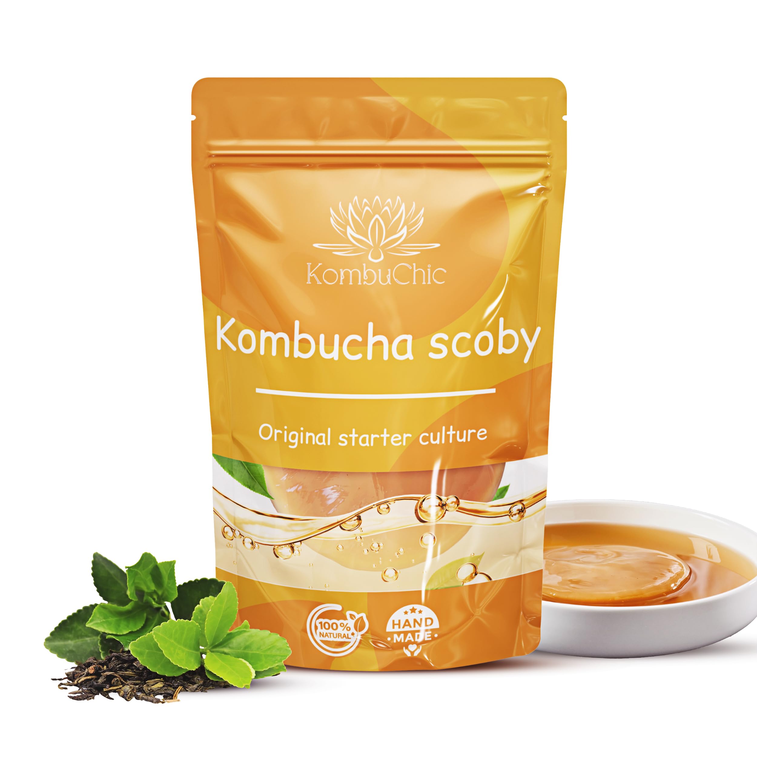Kombucha SCOBY Starter Kit with Recipe and Brewing Guide