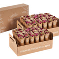 Flora & Bloom Wedding Confetti Kit | 6L Biodegradable Petals & 48 Cones