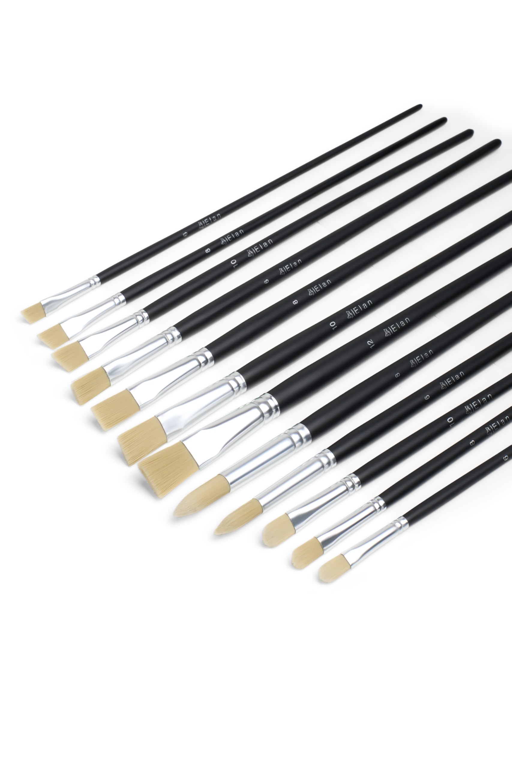 Elan 12-Piece Synthetic Hog Oil Paint Brush Set | Long Handle Artist Brushes