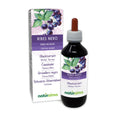 Naturalma Blackcurrant Ribes Nigrum Liquid Extract - 200 ml Tincture