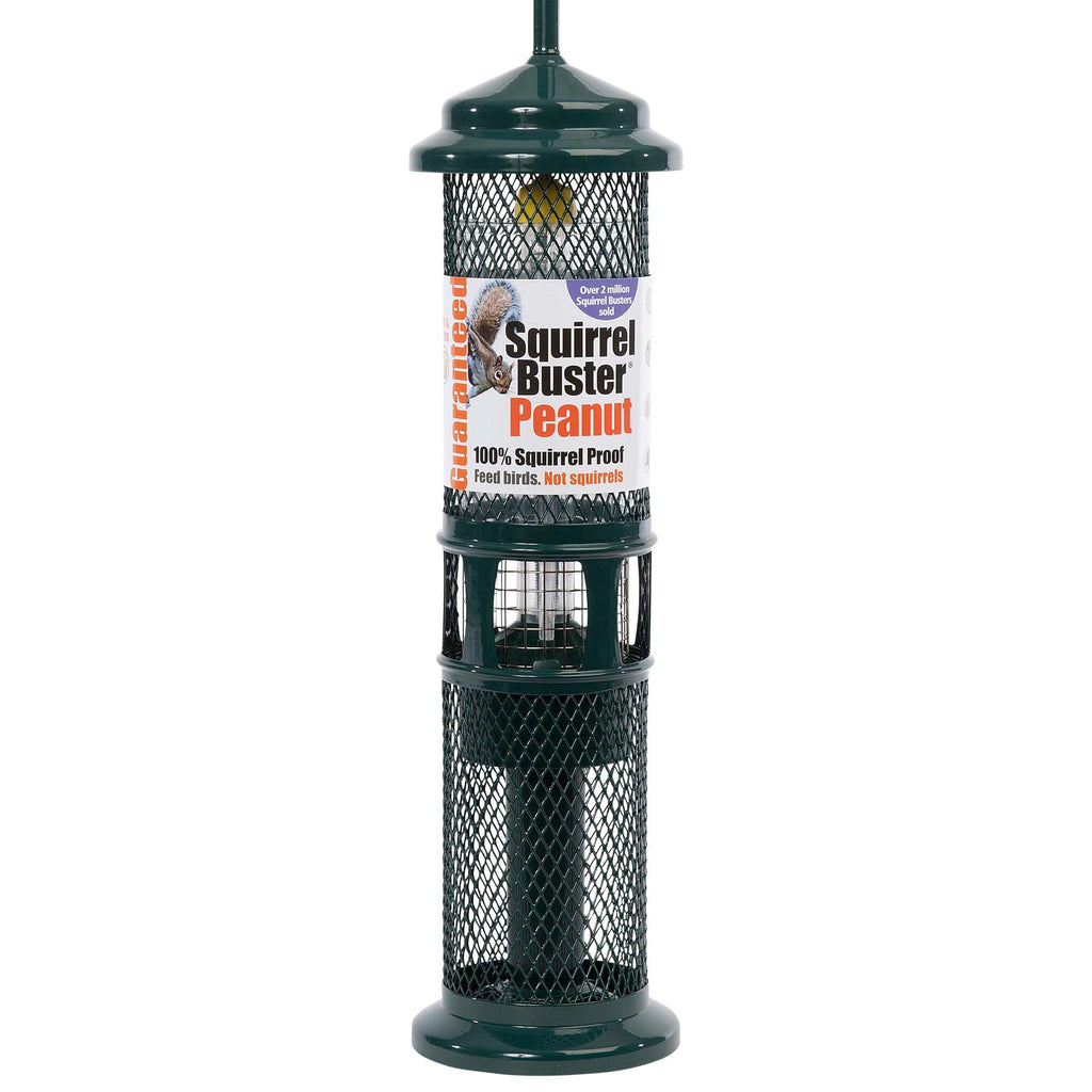 Jacobi Jayne Squirrel Buster Peanut Bird Feeder – Metal, Green, 750ml