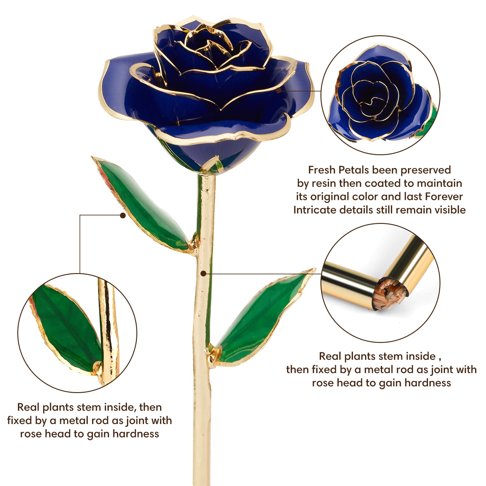 Ariceleo 24K Gold Dipped Preserved Infinity Rose - Blue Resin Flower Decor