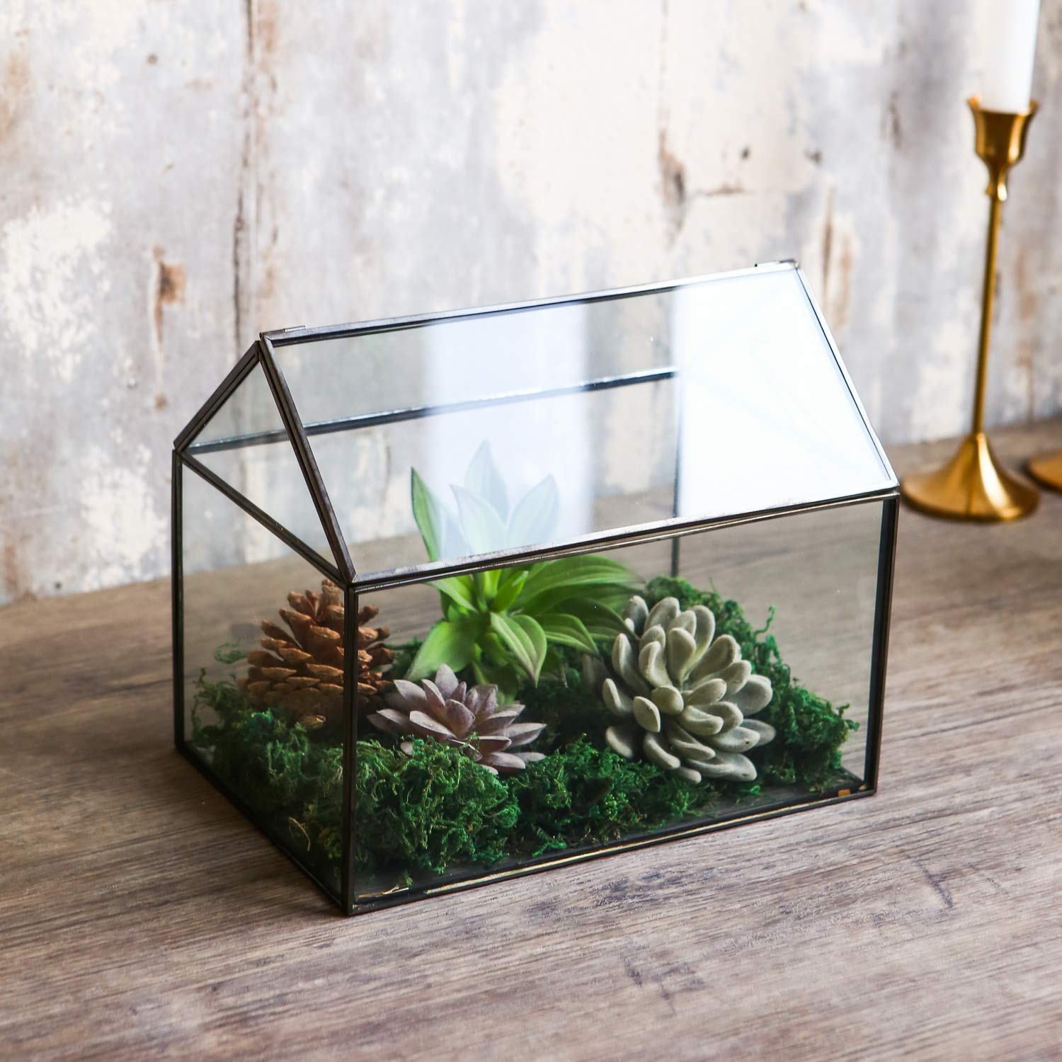 WONSUN House Shape Glass Geometric Terrarium – Black Tabletop Planter