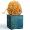NAROA Natural Sea Sponge – X Large Exfoliating Loofah Body Scrubber